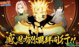 火影权威爆料视频大全集,揭秘忍界传奇背后的真相与秘闻