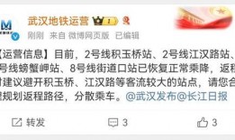 武汉极目新闻爆料事件是真的吗,真相调查与核实